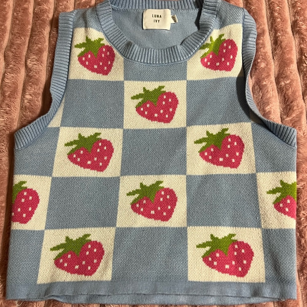 Luna Ivy Blue and Pink Strawberry Sweater Vest